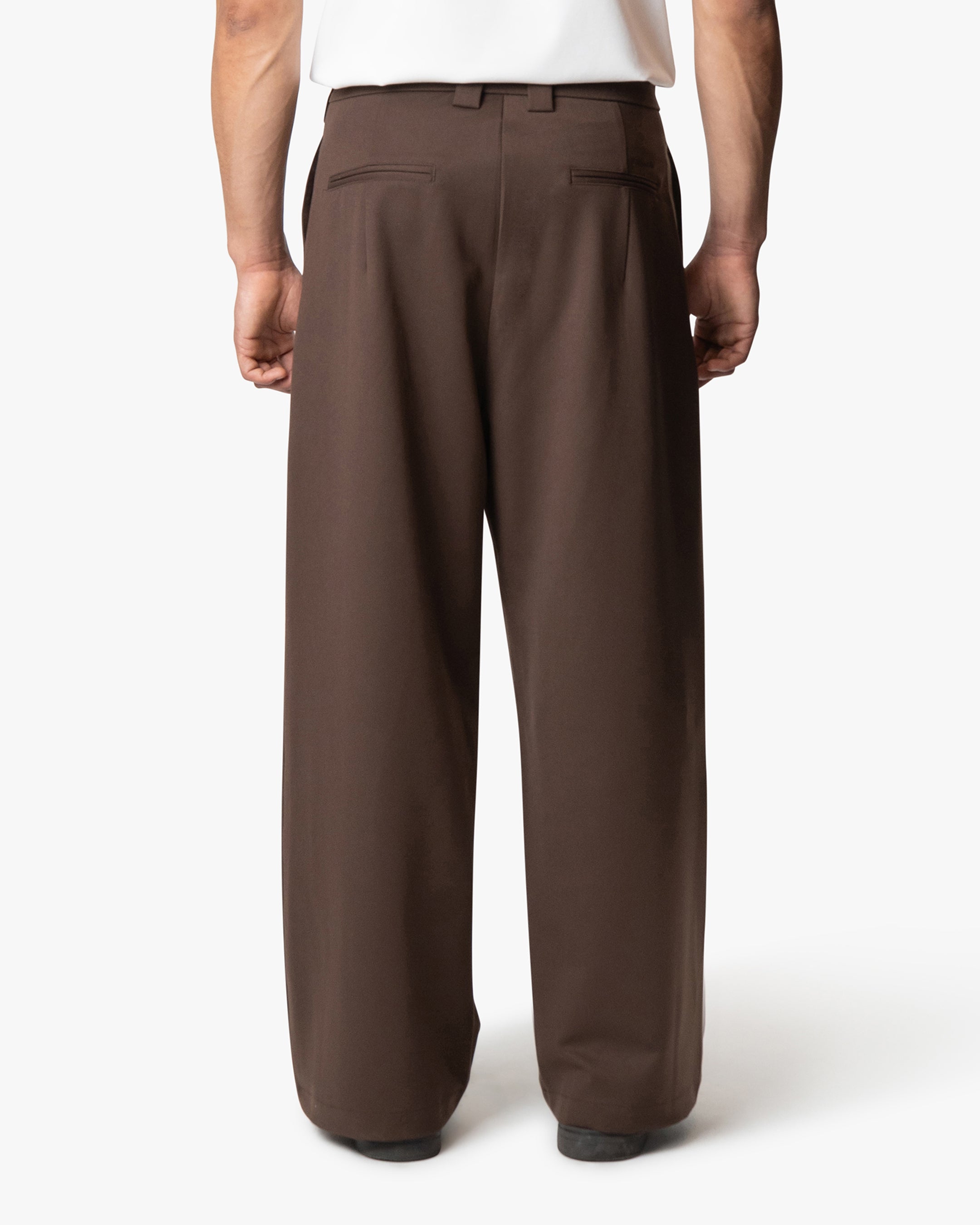 Ambra Loose-Fit Pleated Pants | Brown