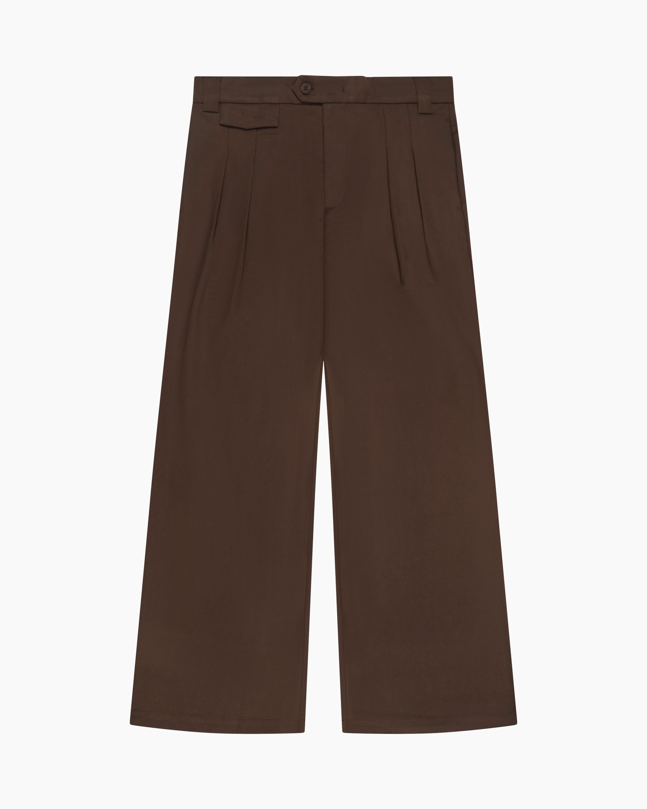 Ambra Loose-Fit Pleated Pants | Brown
